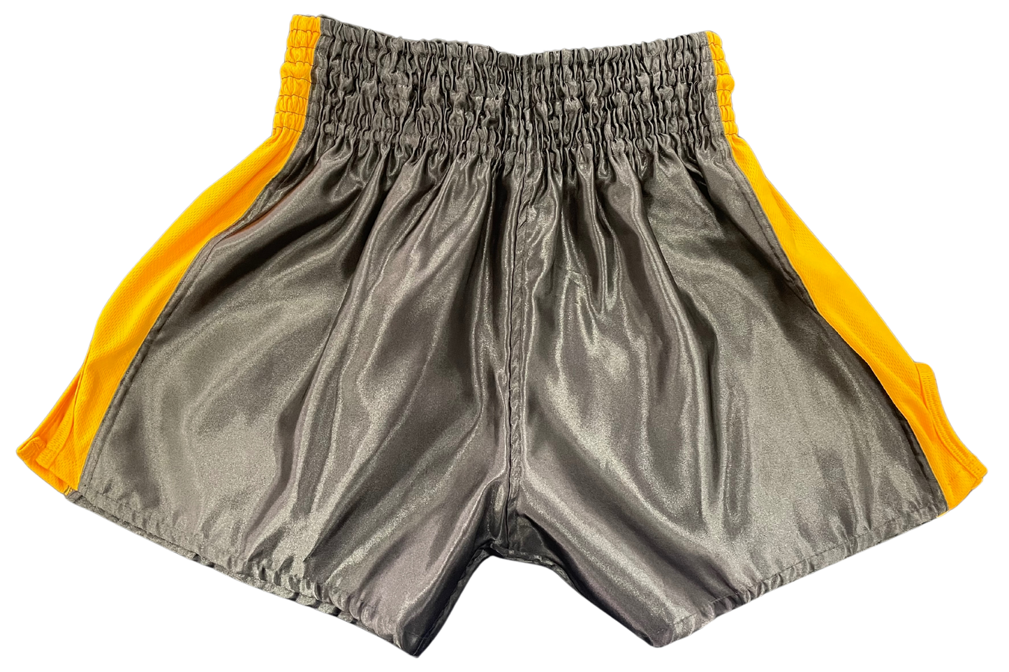 Tested on Humans Muay Thai Shorts