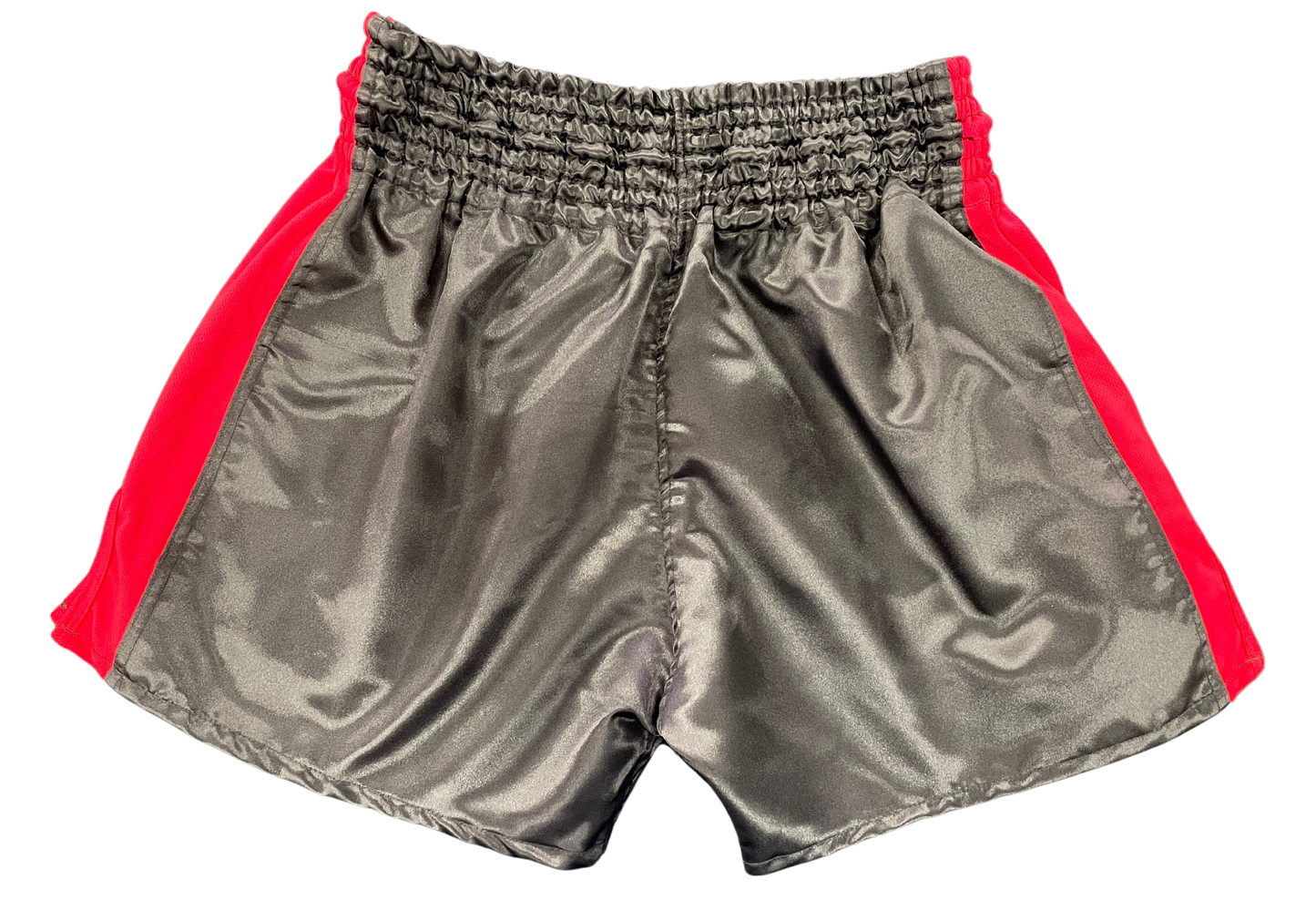 Tested on Humans Muay Thai Shorts